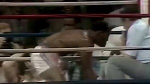 33K views · 353 reactions | Questa sera celebriamo un altro...