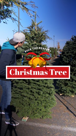 🎄✨ Choose your ideal tree at Lucky, and we've got some tips to keep it fresh all season long. Share your tree care tips in the comments below! 👇 | Lucky Supermarkets