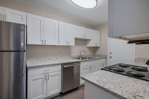 Apartments for Rent in Bayou St John, New Orleans - 43 Rentals | Apartments.com