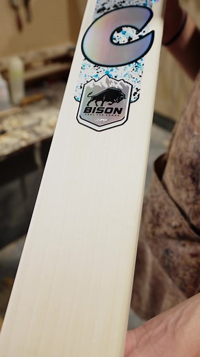 Cooper Cricket on TikTok