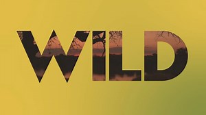 50 reactions | We take one last look at some of Southern Africa's most iconic animals on the finale of #PredatorLand this Monday. | National Geographic Africa | Facebook