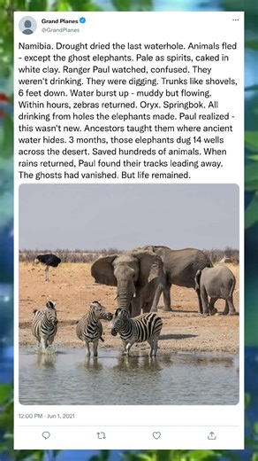 The Invisible Ones Who Keep Us Alive 🌫️#GhostStory #LifeForce #UnseenWorld