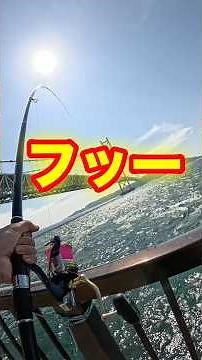 激流明石の海流で真鯛を狙う‼️ #遠投カゴ釣り #釣り #釣り動画