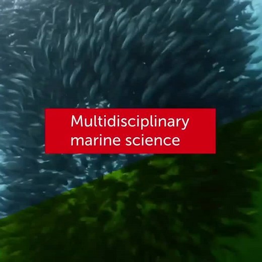 World-class research Open Access = new breakthroughs, faster. Congratulations to all authors, reviewers & editors of Frontiers in Marine Science for powering our knowledge-driven world! See your impact: https://fro.ntiers.in/R8Cj | Frontiers