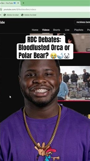 RDC Debates: Bloodlusted Orca or Polar Bear? 😭🐋🐻‍❄️