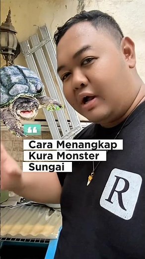 CARA MENANGKAP KURA-KURA CST | How to Catch Common Snapping Turtle in Pond
