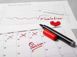 கருத்தரிக்க கருமுட்டை தயாரா இருக்கு எப்படி தெரிஞ்சுக்கிறது? தம்பதியர் அறிய வேண்டிய விஷயம்!