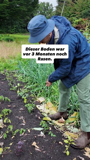 Lebendiger Boden ist locker – das zeigt der Stab