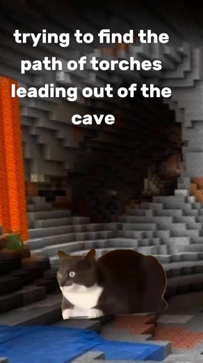 Relatable Minecraft Memes for Gamers