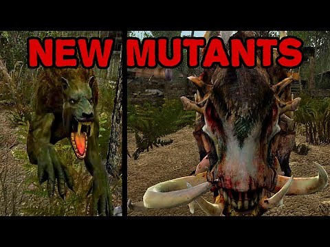 Dynamic Mutants: New Mutants Showcase - Stalker Anomaly