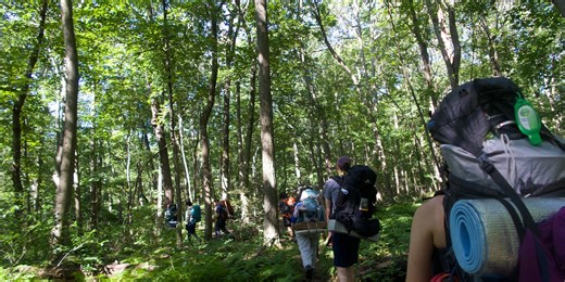 dwg body tea 🌱🍃☀️🤸☁️🫧