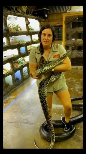 It is Not Easy To Catch Python part 2#shorts