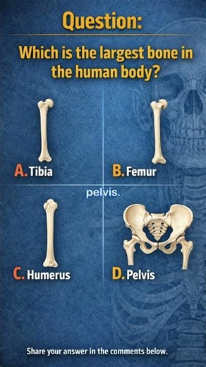 Do you Know🧠 #quiz #gk #shorts #facts