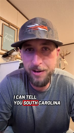 Best States for Waterfowl Hunting in the U.S.