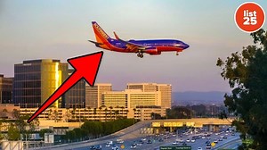 25 intriguingly peculiar random facts