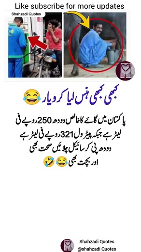 4 Life Lessons in Quotes That Will Motivate You Every Single Day 💫