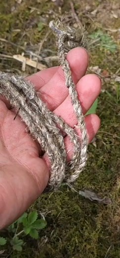 42K views · 1.8K reactions | Making natural cordage from Milkweed 甆 #bushcraft #outdoors #survival #cordage #outdoorlife #primitiveskills #diy #camping #craft #campinglife #milkweed #wildernessliving #survivaltips #woodsmanskills #wildernesslivingskills #diycrafts #OutdoorSkills #reels | WoodsBound Outdoors | Facebook