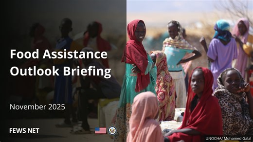 Food Assistance Outlook Briefing - November 2025