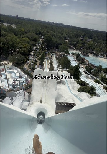 Experience the Tallest Water Slide at Disney Parks