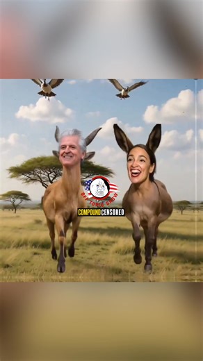 Trump Posts Obama Monkey Meme – Refuses to Fire Staffer or Apologize! Straight from today's Off Topic Show: Matt breaks down the explosive Trump Obama monkey meme controversy! President Trump stands firm, refusing to fire or apologize for the White House staffer who posted the viral monkey meme video featuring Obama on Truth Social—dismissing it as a staff mistake and refusing to back down. Stephen A. Smith erupts, demanding the staffer's name and insisting Trump's "stench" is all over it: "It w