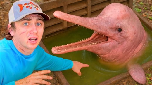 Bass Fishing Productions S02:E01 - I Found Dolphins in a Sewer!