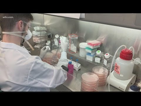 What is monoclonal antibody therapy and how does it work?