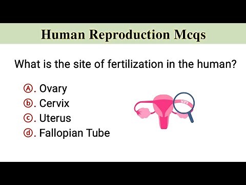 Reproductive System Mcq | human reproduction mcq | reproductive mcq