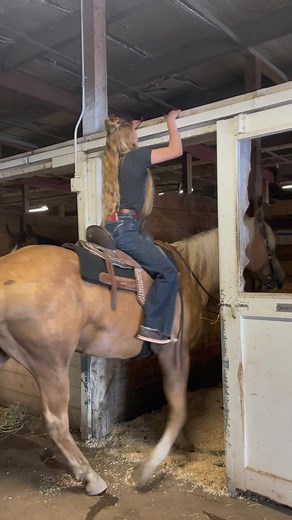 No rest for the wicked, we’re onto the next one… #rodeo #trickriding #travel #travelling #trickrider #performer #horses #equestrian #cowgirl #riding