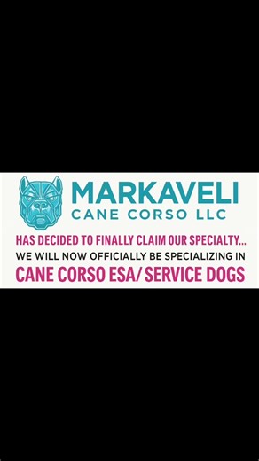 3 comments | Markaveli Cane Corso LLC has decided to finally claim...
