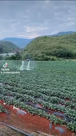 3.7K reactions · 180 shares | Drone technology farming | Zortrax Agriculture Corporation | Facebook