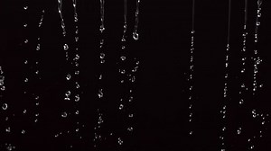 Water Dripping On Black Background Slow Stock Footage Video (100% Royalty-free) 4553492 | Shutterstock