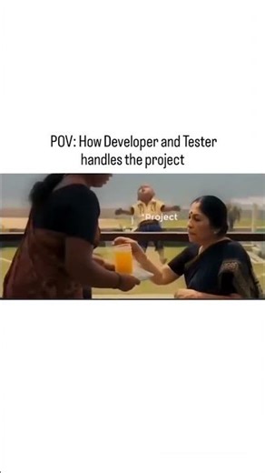 developer & tester with project