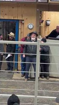 Mt. Hope Ohio Horse Auction . Over 500 Head Sold .. #horse #auctions #amish