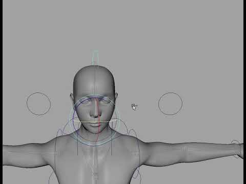 Human character rig 