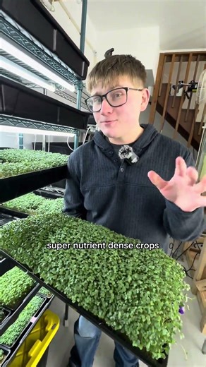 Touring our indoor Vertical Farm #hydroponic #verticalfarm