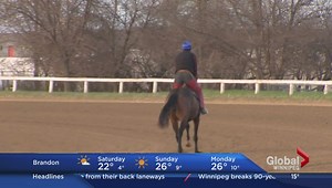 Global News Morning features Assiniboia Downs upcoming horse racing season