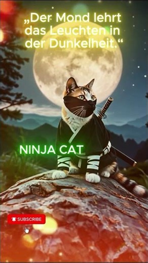 Ninja Cat Modus: AKTIVIERT!🐱⚔️ #funnycats #catvideos #catshorts #catshorts #funnycats #fyp