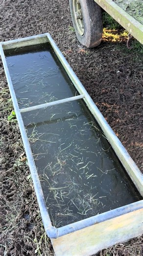 Crushing ice quicker than the Xmas hangover is clearing.