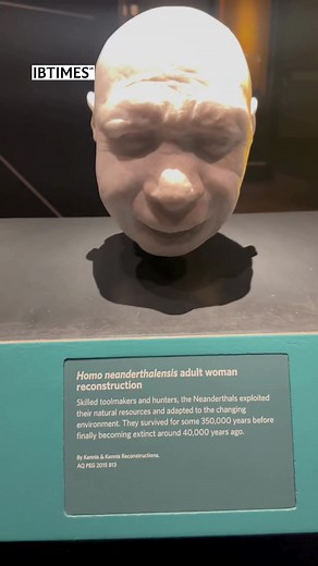 Homo heidelbergensis is thought to have evolved from the species Homo erectus and has been found in Africa and Eurasia. These people had established populations in Africa and Europe by about 600,000 years ago. Regional differences began to develop as they adapted to their new environments. #homoheidelbergensis #homoeructus #africa #europe #humanskull | International Business Times UK