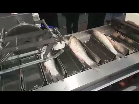 Professional made fish head cutting machine fish tail cutter