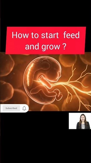 How a Baby Feeds and Grows Inside the Womb | 3D Animation | Fetal Development #baby #pregnant