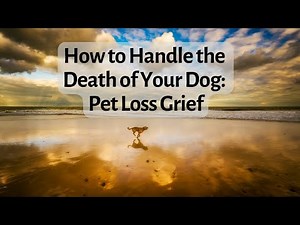 How to Cope with the Death of Your Dog: Pet Loss Grief