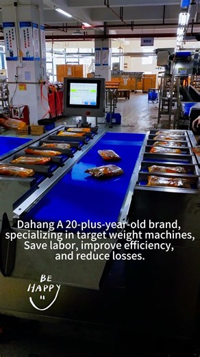 Automatic Target Weight System for Bagged Vermicelli – Independent Weighing & Auto Combination