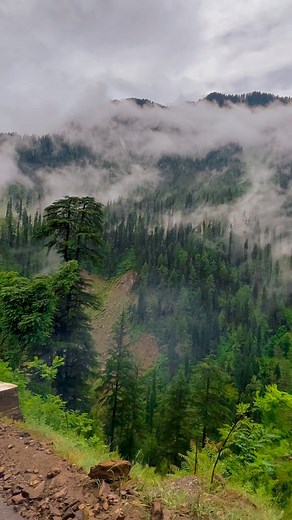 2.4K views · 1K reactions | Kashmir the heaven on Earth   . . . . . . #reels #reelsinstagram #kashmirvalley #gilgitbaltistan #foryou #instadaily #nature #k2adventureclub #kashmirtourism #kashmir #rainyday | K-2 Adventure CLUB | Facebook