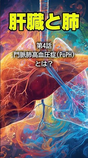 肝臓と肺④ 門脈肺高血圧症(PoPH)とは？ #門脈肺高血圧症 #PoPH #肝硬変 #門脈圧亢進症 #肺高血圧症 #息切れ #医療情報 #shorts