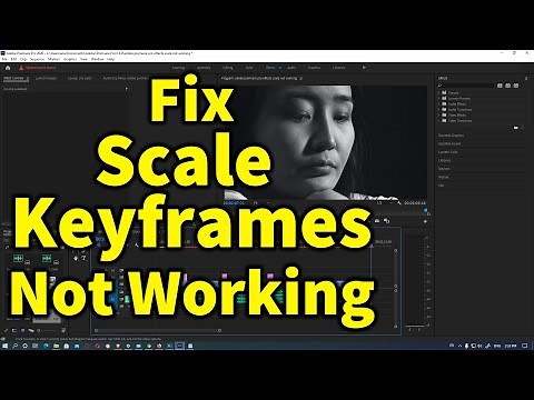 How to fix Adobe Premiere Pro Scale Keyframes Not Working