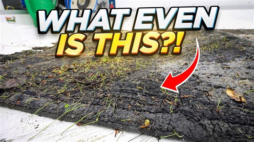 Cleaning a lost rug: The results are stunning!