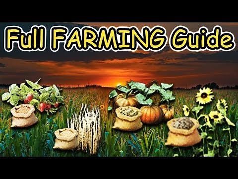 Artisan FARMING in 1 Day | FULL Farming Guide (Black Desert Online)