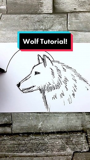 How to Draw a Realistic Wolf Head | Art Tips & Tricks