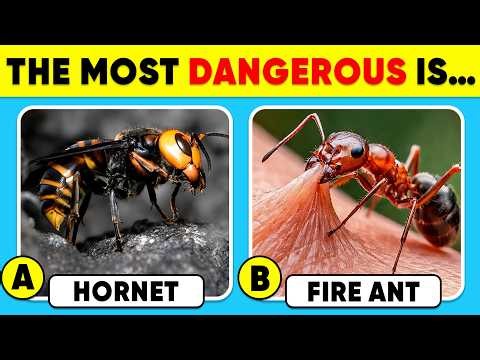 How Good Is Your Knowledge of ANIMALS? 🐝🐜✅ General Knowledge Trivia Quiz